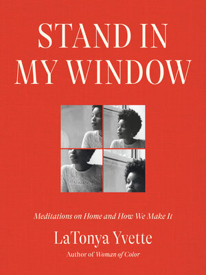 cover image of Stand in My Window